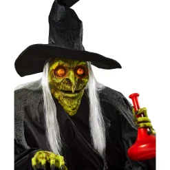Spirit Halloween 3 Ft 9 In The Cauldroness Animatronic