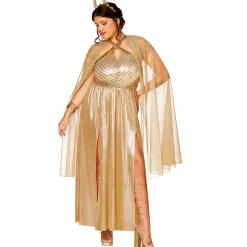 Women Spirit Halloween Adult Goddess of Sun Costume - The Signature Collection