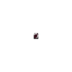 Spirit Halloween Adult Vampire Costume