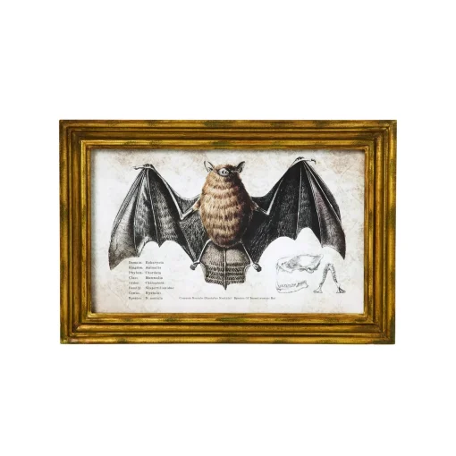 Spirit Halloween Bat Sign Set - 2 Piece