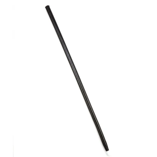 Spirit Halloween Black Dance Cane