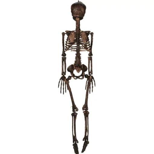 Spirit Halloween Moss Skeleton