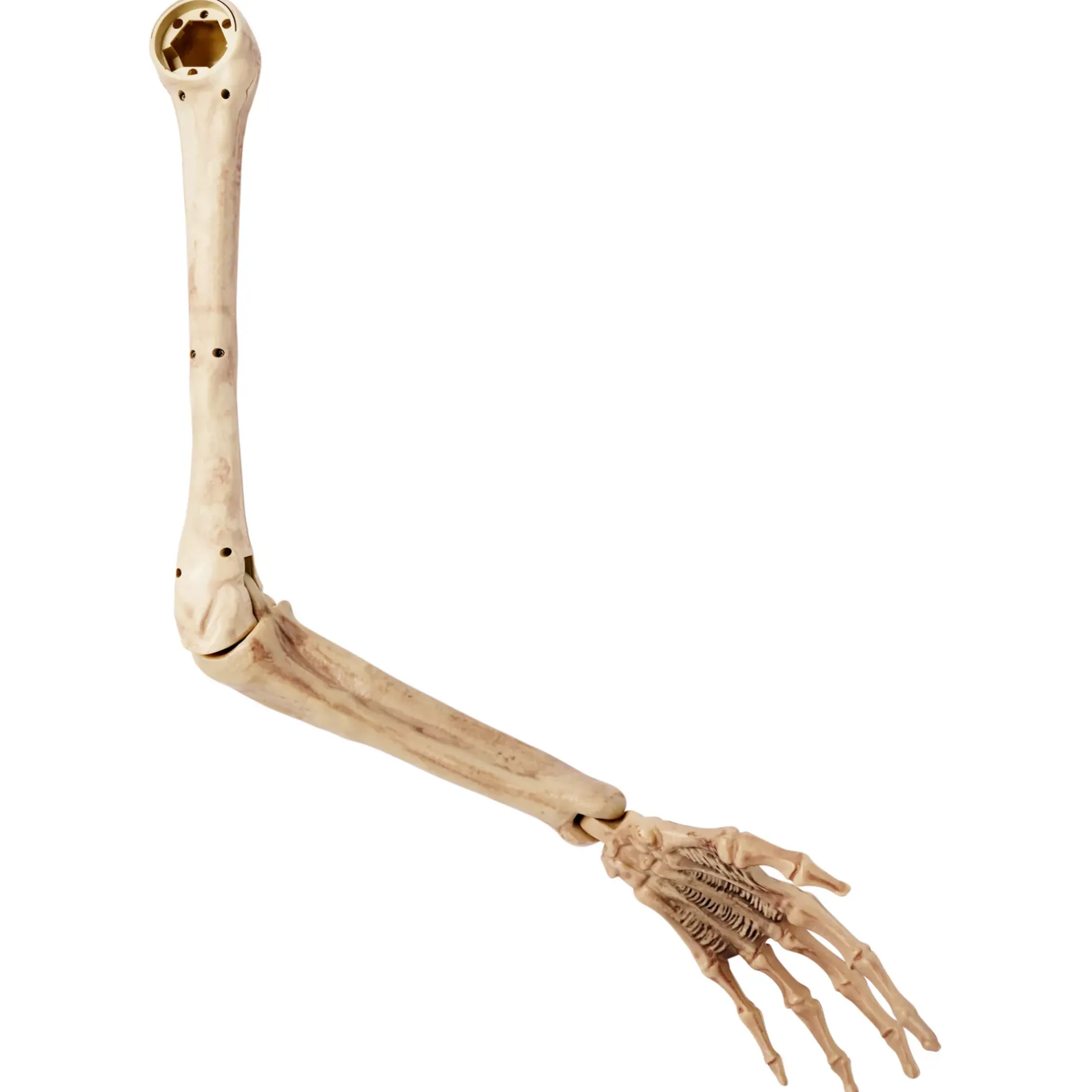 Spirit Halloween Skeleton Arm Prop - 2023 Spirit Hallows Cemetery