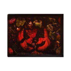 Spirit Halloween Step Pad Covers - 4 Pack