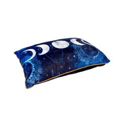 Spirit Halloween Tarot Moon Phase Pillow