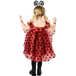BOY Spirit Halloween Toddler Ladybug Dress Costume